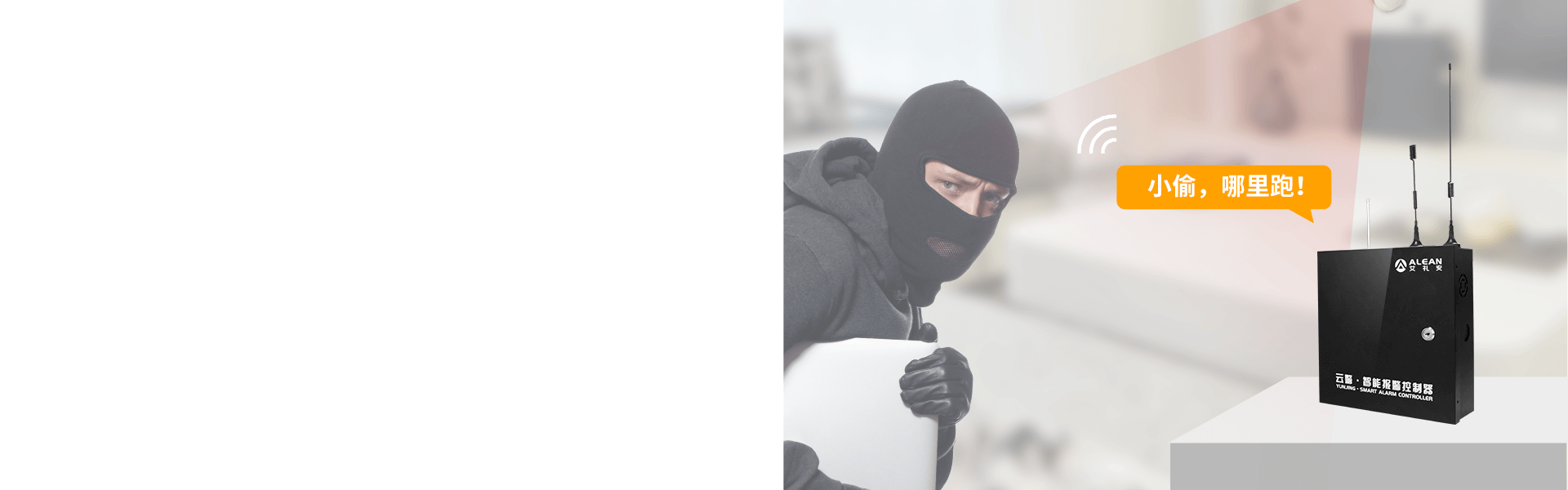 AL-238P智能报警控制器 AL-238P智能报警控制器