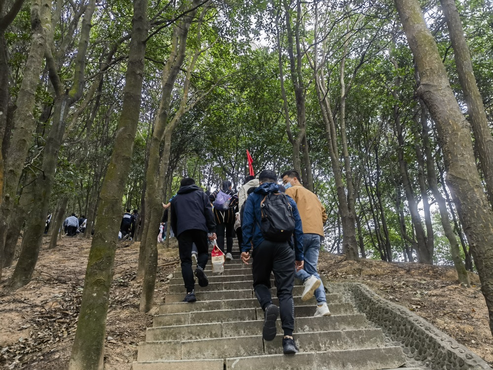 登高望远，打卡“阳台叠翠”