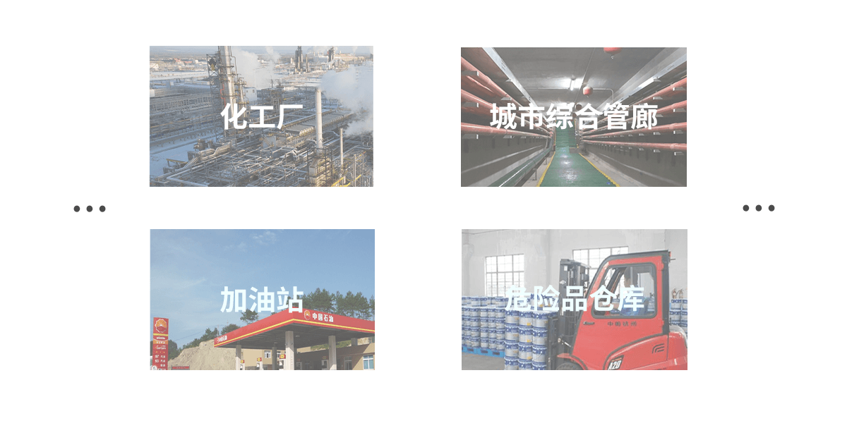 防爆控制器:AL-238P<!-- 防爆控制器:AL-238P