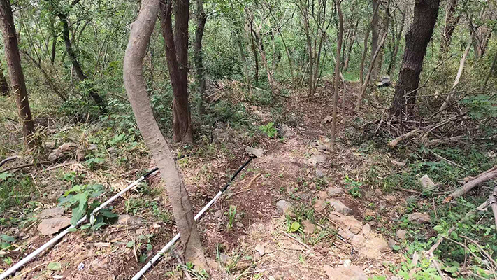 南京猿人洞 | 泄漏电缆